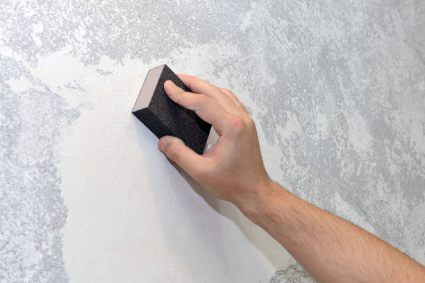 Best Real Estate Mold Inspection  in Belle Plaine, KS