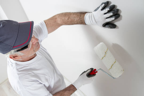 Best Mold Remediation for Healthcare Facilities  in Belle Plaine, KS