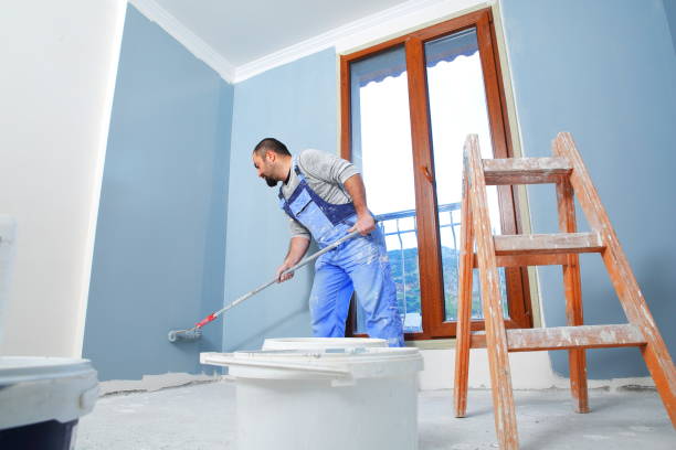 Best Commercial Mold Inspection  in Belle Plaine, KS