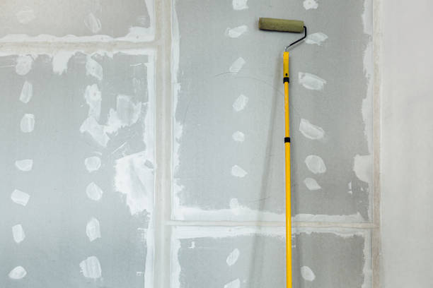  Belle Plaine, KS Mold Removal Pros