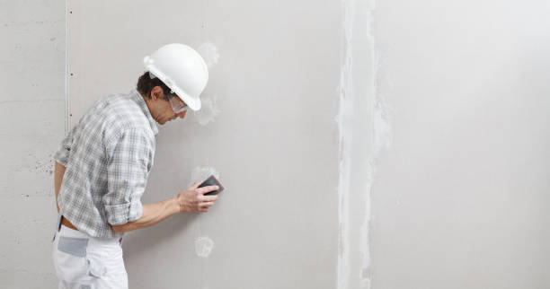 Best Residential Mold Inspection & Testing  in Belle Plaine, KS