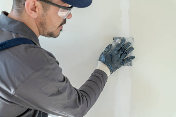 Best Asbestos and Lead Testing During Mold Inspection  in Belle Plaine, KS