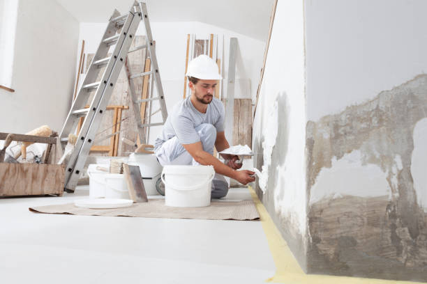 Best Industrial Mold Remediation  in Belle Plaine, KS