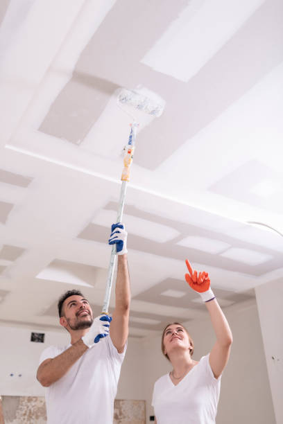 Best Dehumidification Services  in Belle Plaine, KS
