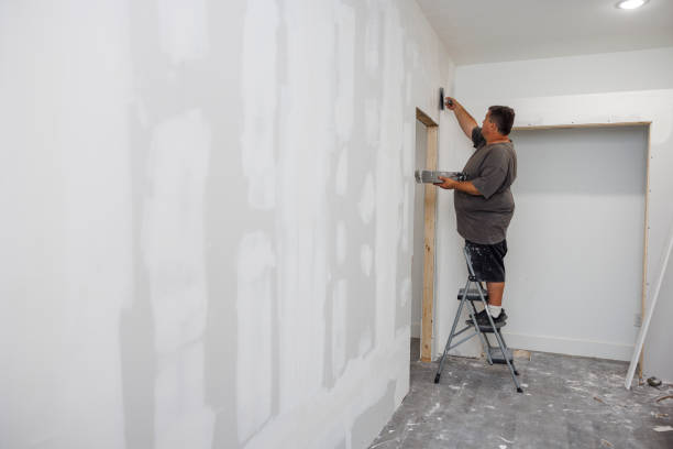 Best Post-Construction Mold Inspection  in Belle Plaine, KS