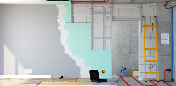 Best Airborne Mold Testing  in Belle Plaine, KS