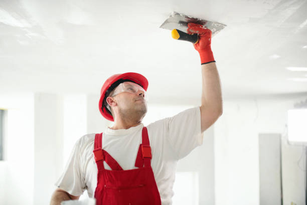 Best Air Quality Testing for Mold Spores  in Belle Plaine, KS