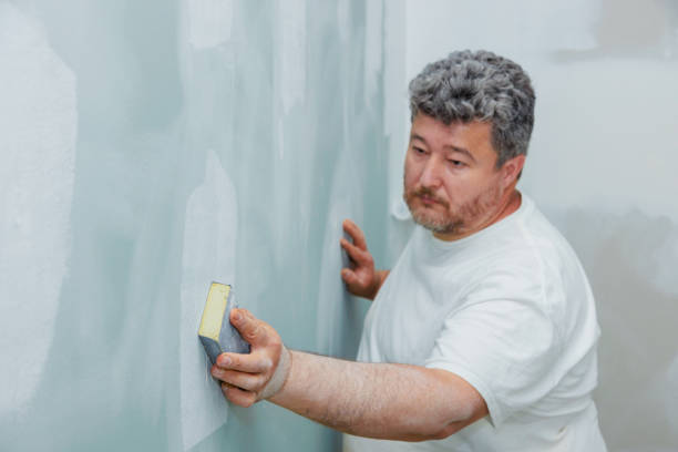 Best Forensic Mold Investigation  in Belle Plaine, KS