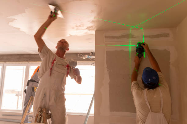 Best Forensic Mold Investigation  in Belle Plaine, KS