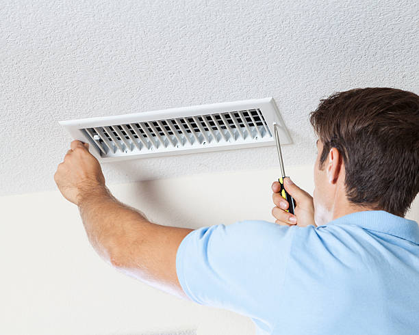 Best Real Estate Mold Inspection  in Belle Plaine, KS