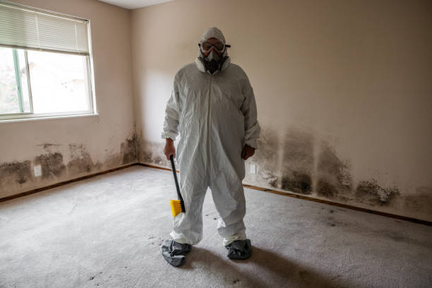 Best Biohazard Mold Removal  in Belle Plaine, KS