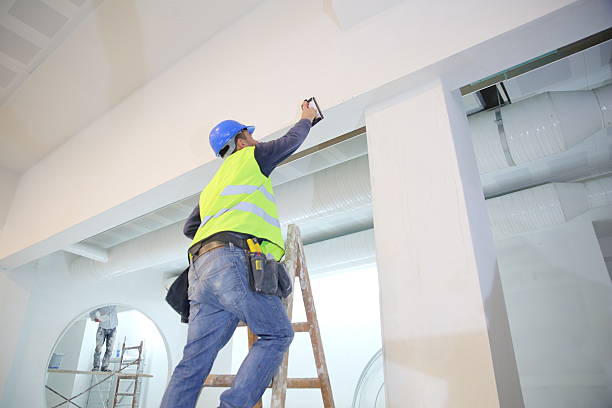 Best Emergency Mold Remediation  in Belle Plaine, KS