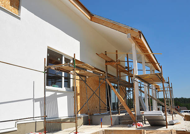 Best Biohazard Mold Removal  in Belle Plaine, KS