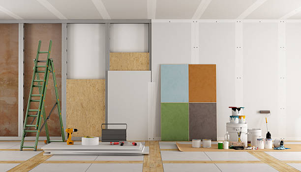 Best Attic Mold Removal  in Belle Plaine, KS
