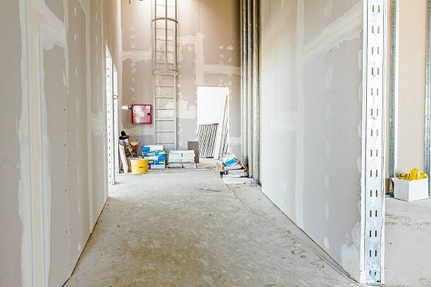 Best Comprehensive Air Testing for Mold Contaminants  in Belle Plaine, KS