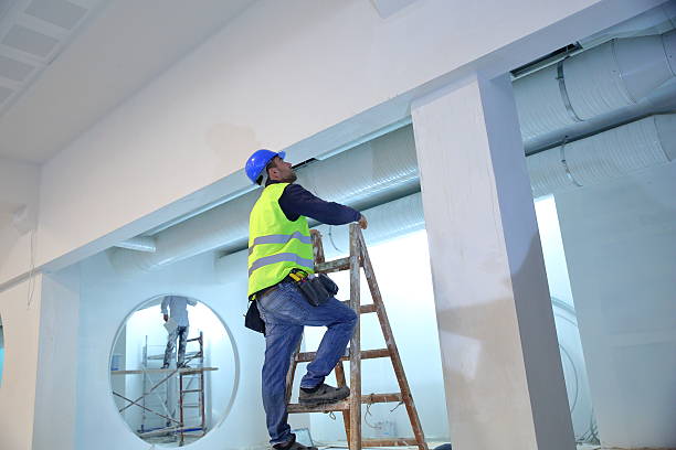 Best HVAC Mold Inspection and Cleaning  in Belle Plaine, KS