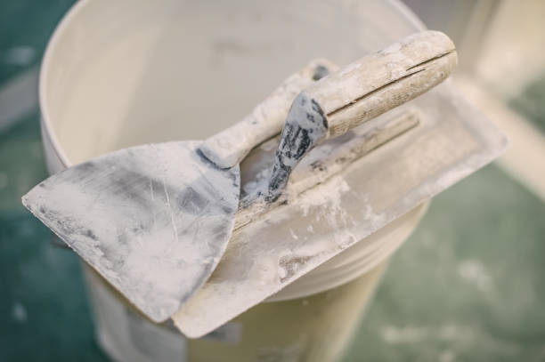 Best Black Mold Removal  in Belle Plaine, KS